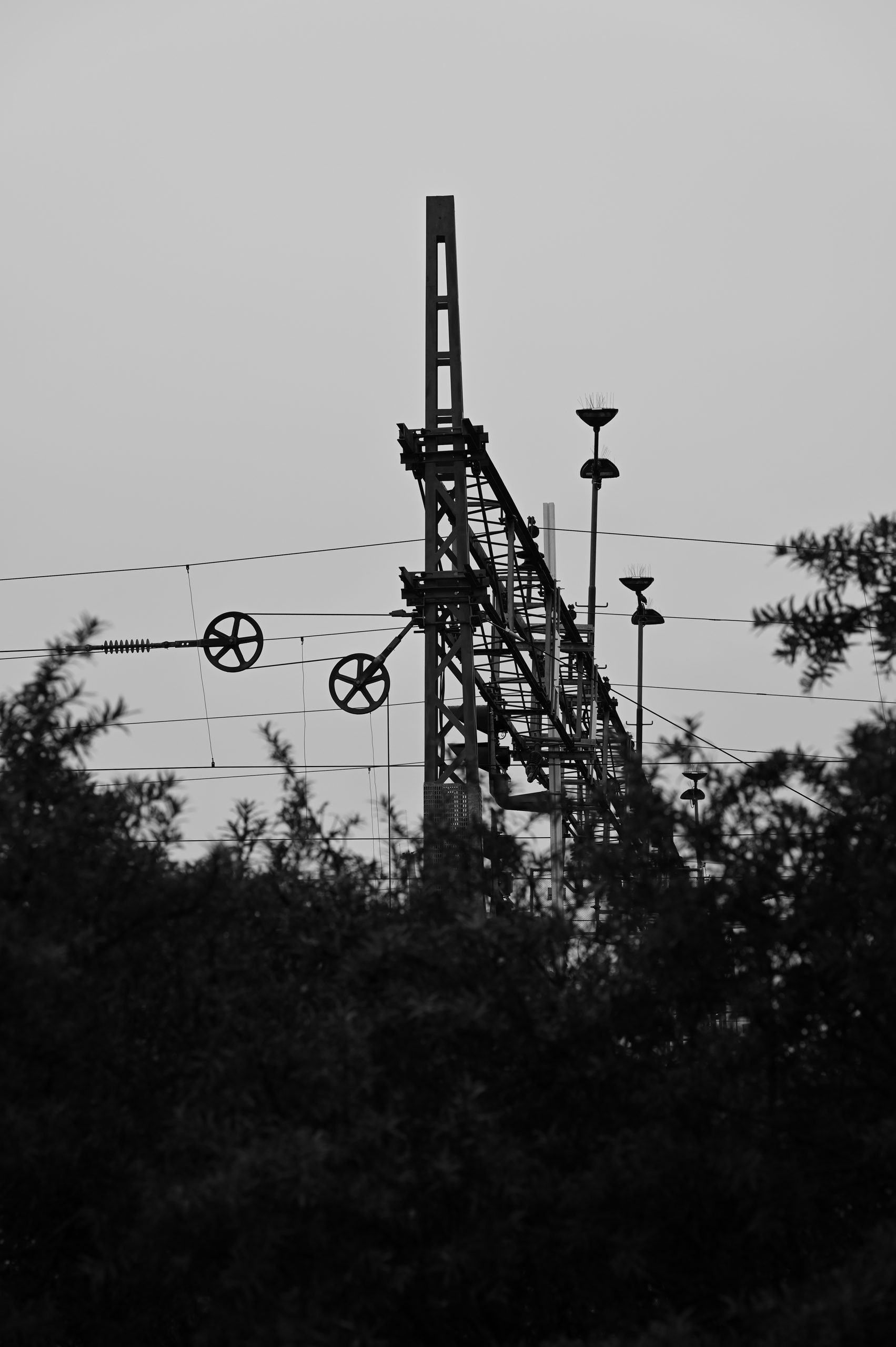 DSC_1704.jpg