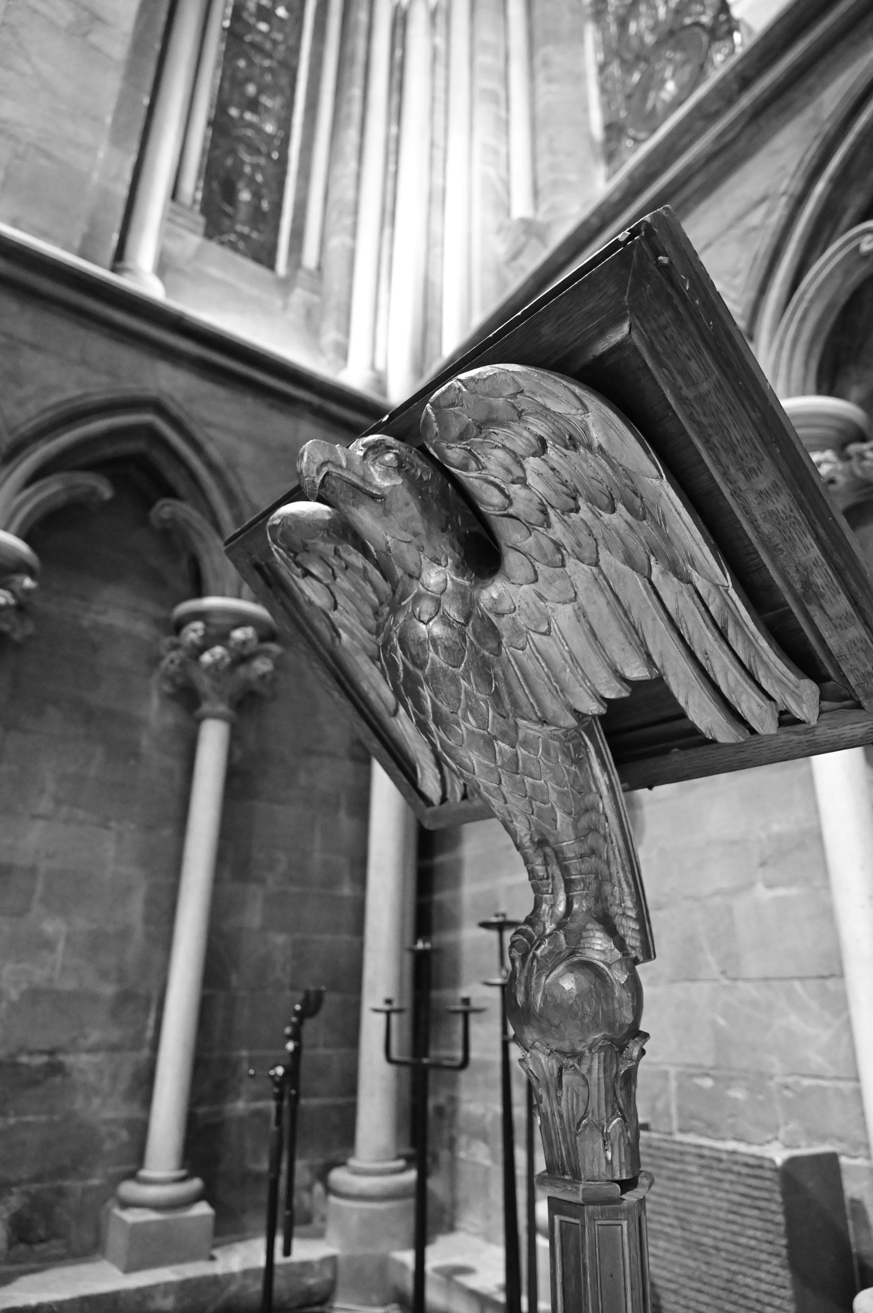 DSC_1733.jpg