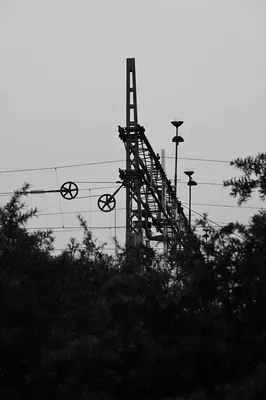 DSC_1704.jpg