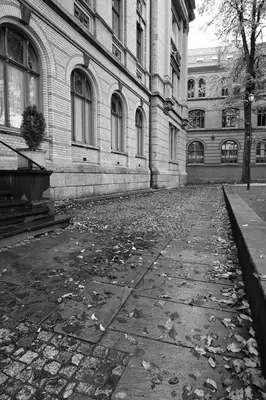 DSC_1709.jpg