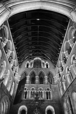DSC_1715.jpg