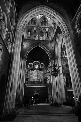 DSC_1720.jpg