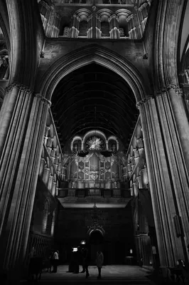 DSC_1721.jpg