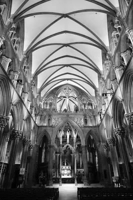 DSC_1724.jpg