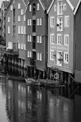 DSC_1747.jpg